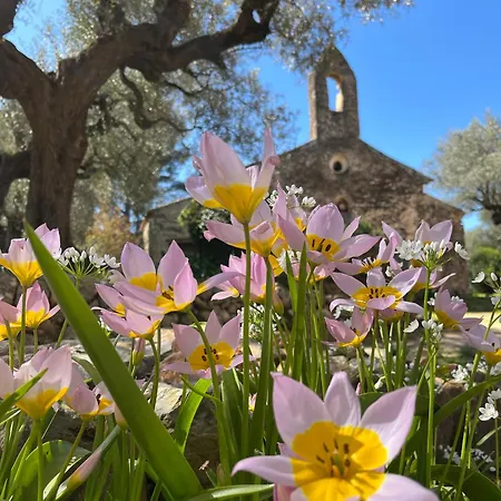 Bastide Sainte Trinide 4* ساناري سور مير
