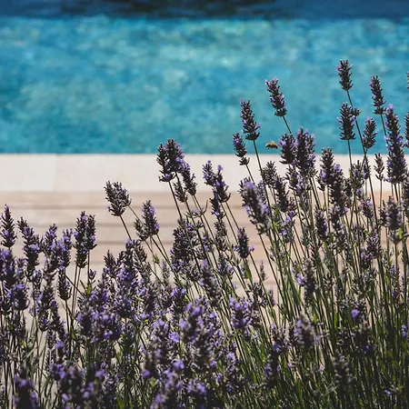 Bastide Sainte Trinide 4* ساناري سور مير