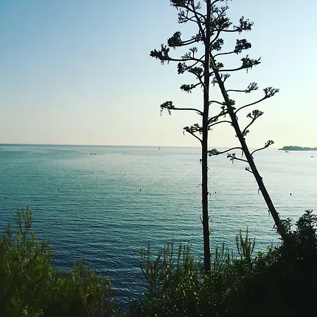 Bastide Sainte Trinide 4*