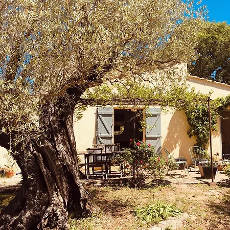 فندق مبيت وإفطار Bastide Sainte Trinide ساناري سور مير