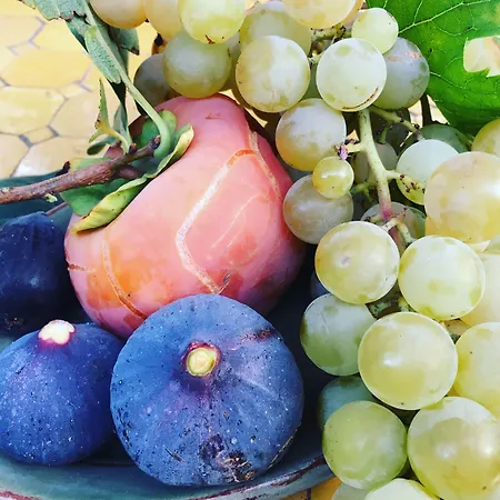 Bastide Sainte Trinide