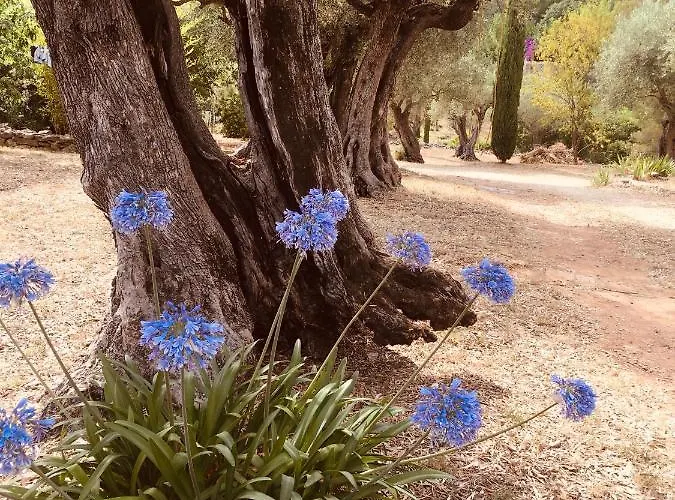 Couette-café Bastide Sainte Trinide