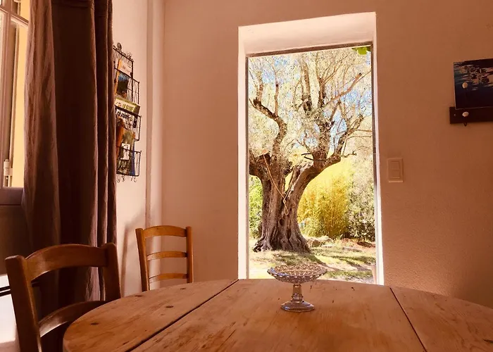 Bed & Breakfast Bastide Sainte Trinide Sanary-sur-Mer