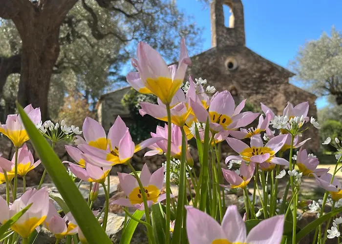 Bastide Sainte Trinide 4* Sanary-sur-Mer
