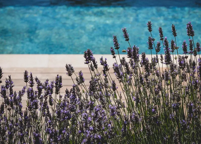 Bastide Sainte Trinide 4* Sanary-sur-Mer