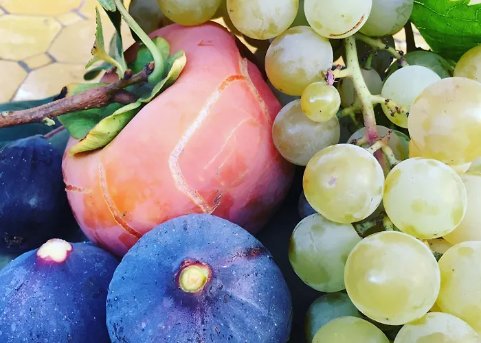 Bastide Sainte Trinide