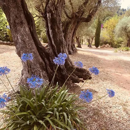 Bed & Breakfast Bastide Sainte Trinide