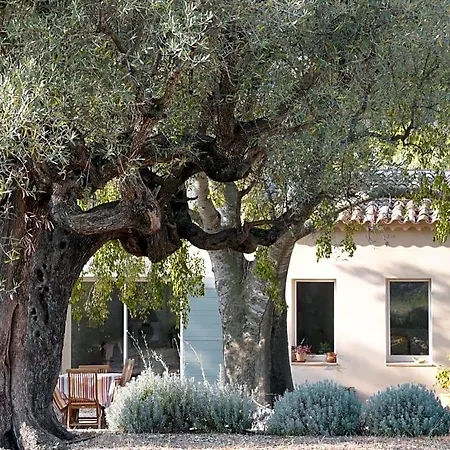 Bastide Sainte Trinide Bed & Breakfast