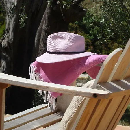 Bastide Sainte Trinide Bed & Breakfast