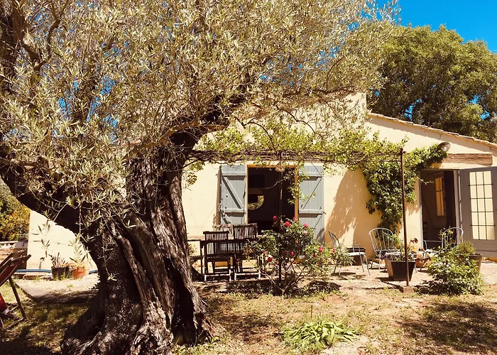 Frühstückspension Bastide Sainte Trinide Sanary-sur-Mer